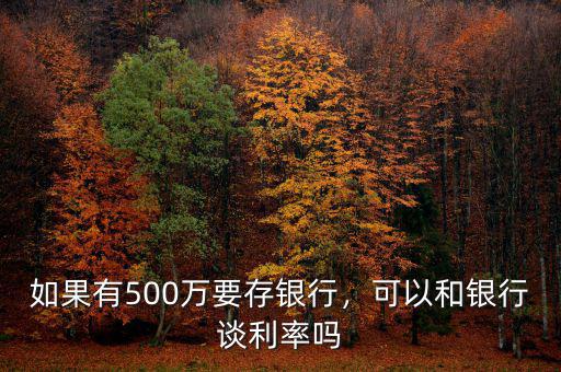 如果有500萬(wàn)要存銀行，可以和銀行談利率嗎