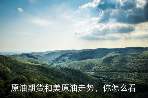 原油期貨和美原油走勢，你怎么看