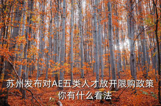 蘇州發(fā)布對(duì)AE五類人才放開限購政策，你有什么看法