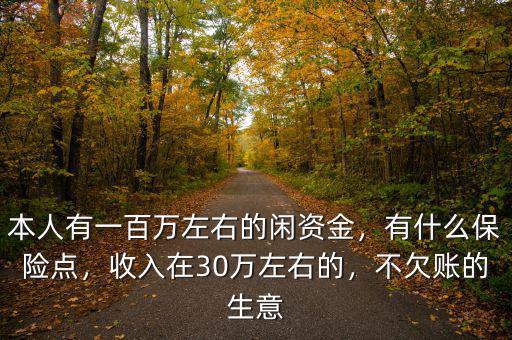 本人有一百萬左右的閑資金，有什么保險點，收入在30萬左右的，不欠賬的生意