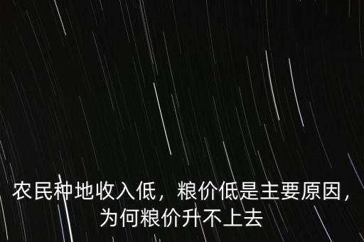 農(nóng)民種地收入低，糧價低是主要原因，為何糧價升不上去