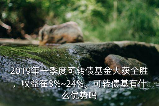 2019年一季度可轉(zhuǎn)債基金大獲全勝，收益在8%~24%，可轉(zhuǎn)債基有什么優(yōu)勢嗎