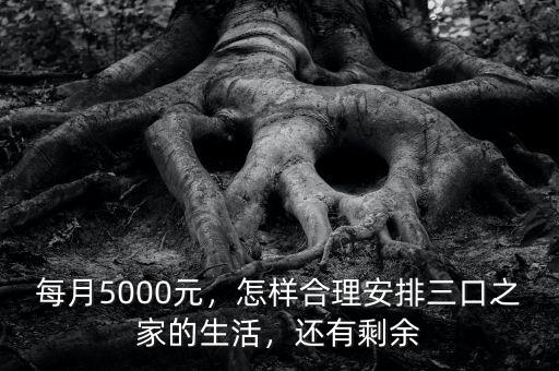 每月5000元，怎樣合理安排三口之家的生活，還有剩余