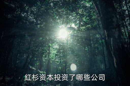 紅杉資本占多少股,紅杉資本有多強(qiáng)大