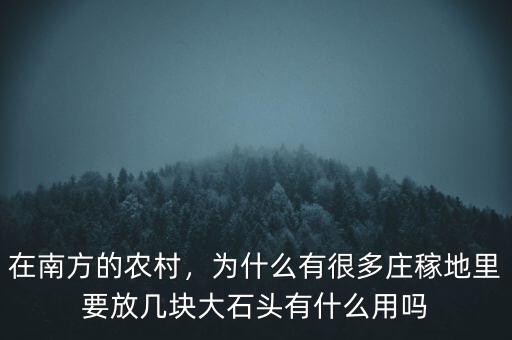 在南方的農(nóng)村，為什么有很多莊稼地里要放幾塊大石頭有什么用嗎