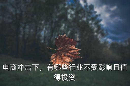 電商沖擊下，有哪些行業(yè)不受影響且值得投資