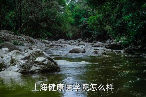 上海健康醫(yī)學院怎么樣