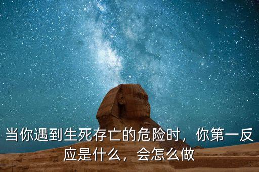 什么生死存亡的問題,當(dāng)你遇到生死存亡的危險(xiǎn)時(shí)