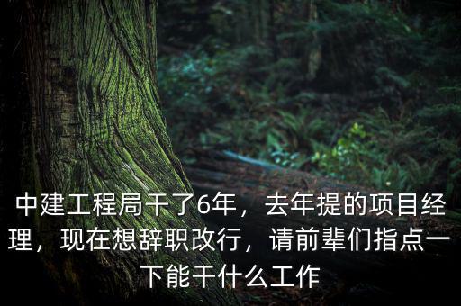 中建工程局干了6年，去年提的項目經(jīng)理，現(xiàn)在想辭職改行，請前輩們指點一下能干什么工作