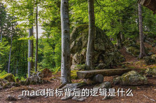 macd指標是什么指標,短線用什么指標