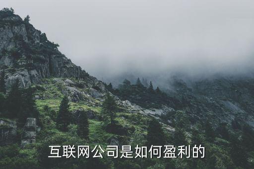 互聯(lián)網(wǎng)公司是如何盈利的