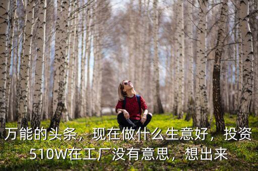 萬(wàn)能的頭條，現(xiàn)在做什么生意好，投資510W在工廠沒(méi)有意思，想出來(lái)