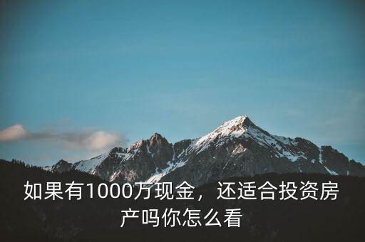 1000萬怎么投資,還適合投資房產(chǎn)嗎