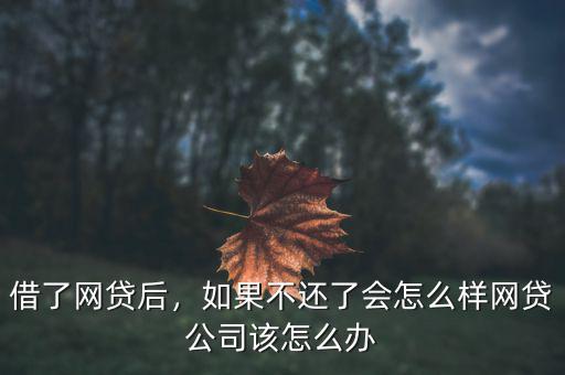 借了網貸后，如果不還了會怎么樣網貸公司該怎么辦