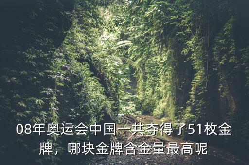 08年奧運(yùn)會(huì)中國(guó)一共奪得了51枚金牌，哪塊金牌含金量最高呢