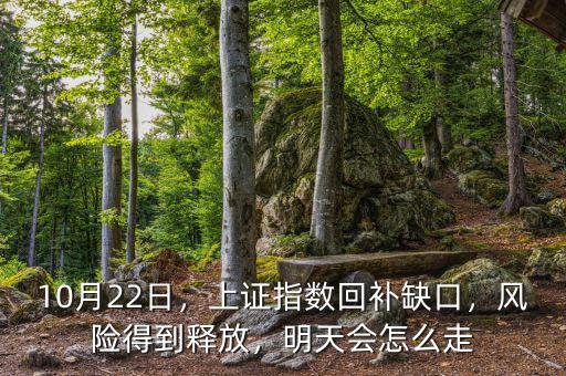 10月22日，上證指數(shù)回補缺口，風(fēng)險得到釋放，明天會怎么走