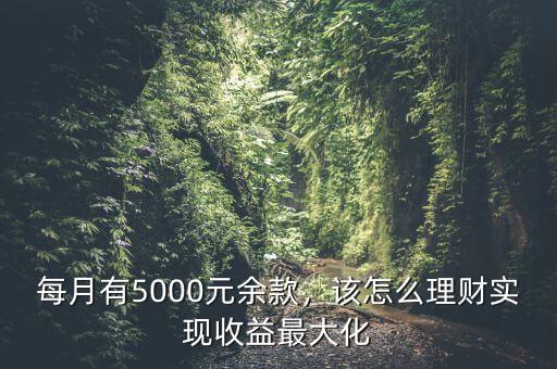 每月5000塊怎么理財,該怎么理財實現(xiàn)收益最大化