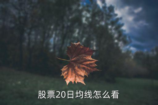 股票20日均線怎么看