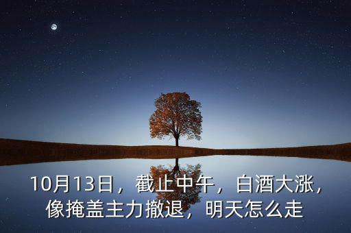 10月13日，截止中午，白酒大漲，像掩蓋主力撤退，明天怎么走