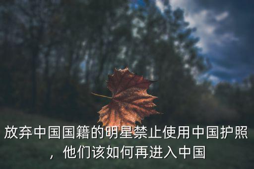 放棄中國國籍的明星禁止使用中國護照，他們該如何再進入中國