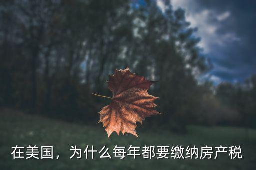 外國人在美國賣房需要交什么稅,為什么每年都要繳納房產(chǎn)稅