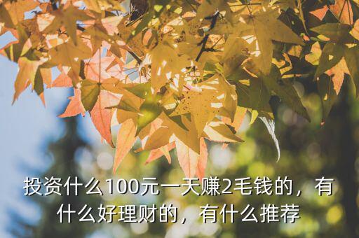 投資什么100元一天賺2毛錢的，有什么好理財(cái)?shù)?，有什么推薦