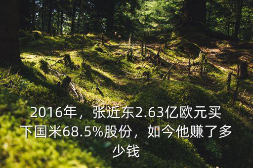 2016年，張近東2.63億歐元買下國米68.5%股份，如今他賺了多少錢