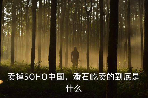 賣掉SOHO中國，潘石屹賣的到底是什么