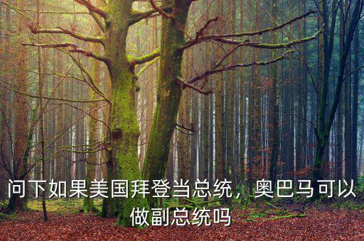 問下如果美國拜登當(dāng)總統(tǒng)，奧巴馬可以做副總統(tǒng)嗎