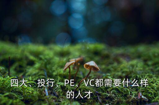 四大、投行、PE、VC都需要什么樣的人才