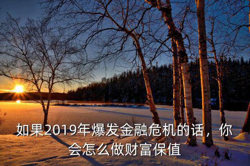 如果2019年爆發(fā)金融危機(jī)的話，你會(huì)怎么做財(cái)富保值