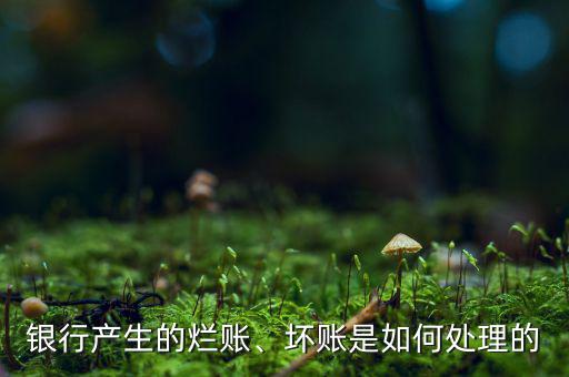 銀行產(chǎn)生的爛賬、壞賬是如何處理的