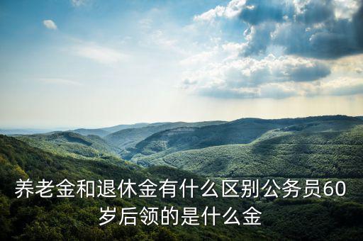 養(yǎng)老金和退休金有什么區(qū)別公務員60歲后領的是什么金