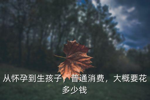 生孩子要花多少錢,大概要花多少錢