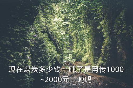 現(xiàn)在煤炭多少錢一噸了是網(wǎng)傳1000~2000元一噸嗎