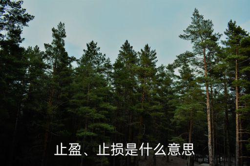 止盈、止損是什么意思