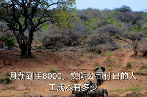 月薪到手8000，實(shí)際公司付出的人工成本有多少
