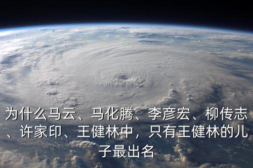 為什么馬云、馬化騰、李彥宏、柳傳志、許家印、王健林中，只有王健林的兒子最出名