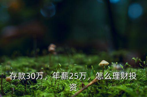 存款30萬，年薪25萬，怎么理財(cái)投資