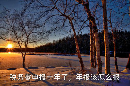 稅務(wù)零申報(bào)一年了，年報(bào)該怎么報(bào)