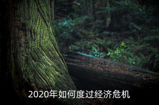 2020年如何度過經(jīng)濟危機