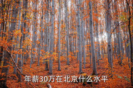 年薪30萬(wàn)是什么水平,成都年薪30萬(wàn)是什么水平