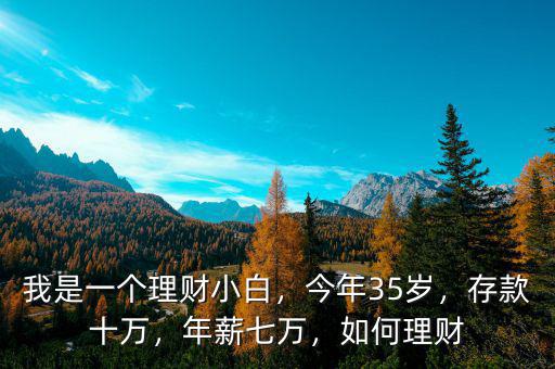 我是一個理財小白，今年35歲，存款十萬，年薪七萬，如何理財