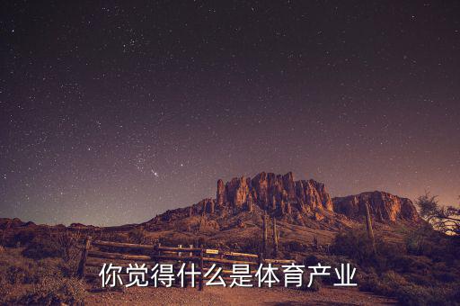 體育產(chǎn)業(yè)是什么,你覺(jué)得什么是體育產(chǎn)業(yè)