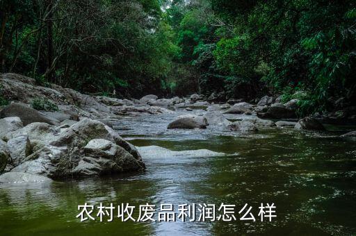 廢品回收小販?zhǔn)杖朐趺礃?回農(nóng)村辦個廢品回收怎么樣