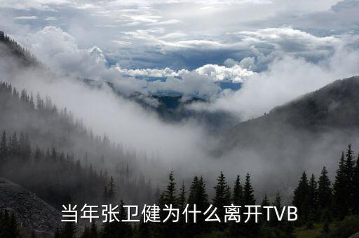 沈皓瑜為什么離開百度,當年張衛(wèi)健為什么離開TVB