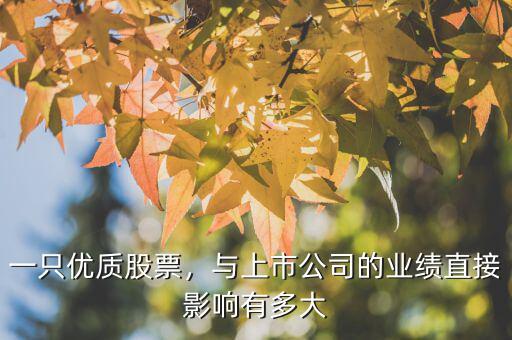 什么是優(yōu)質(zhì)股票,好股票的標(biāo)準(zhǔn)是什么