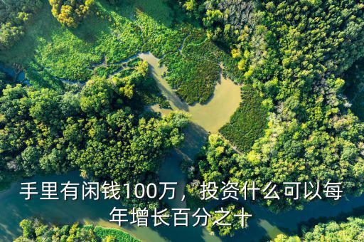 100萬可以投資什么條件,如果有100萬