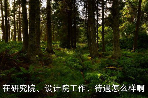 在研究院、設(shè)計(jì)院工作，待遇怎么樣啊