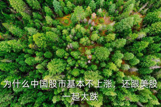 為什么中國股市基本不上漲,還跟美股一起大跌
